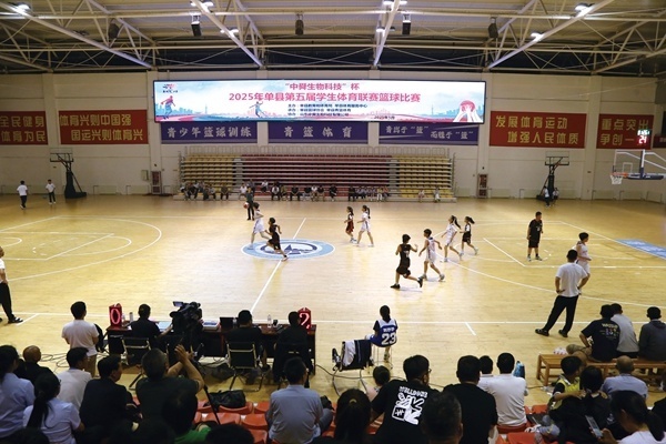 健身路径 健身路径